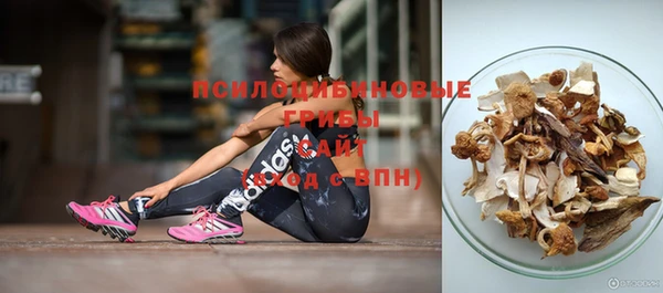 прущий лед Белокуриха