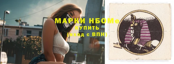 индика Беломорск