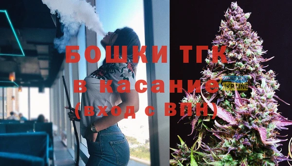 индика Беломорск