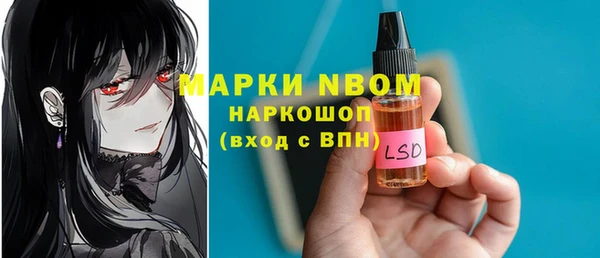 индика Беломорск
