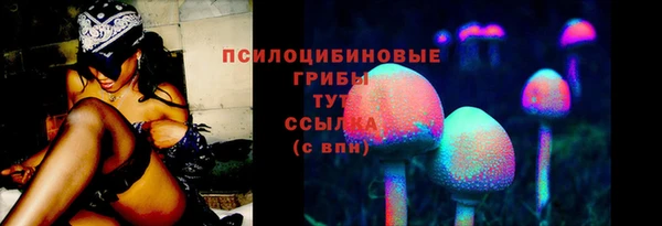 прущий лед Белокуриха