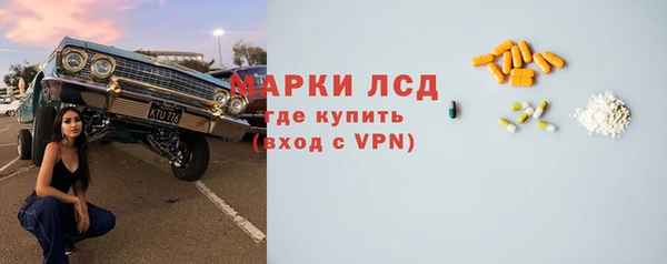 индика Беломорск