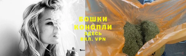 индика Беломорск