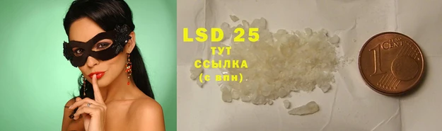 индика Беломорск