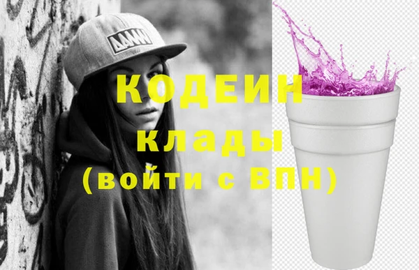 индика Беломорск