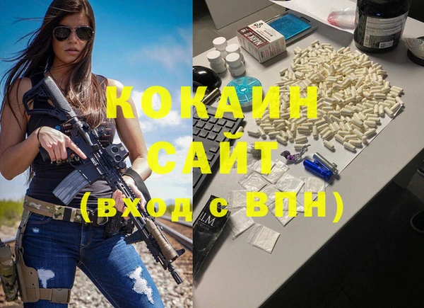 индика Беломорск