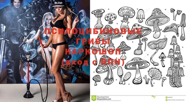 прущий лед Белокуриха