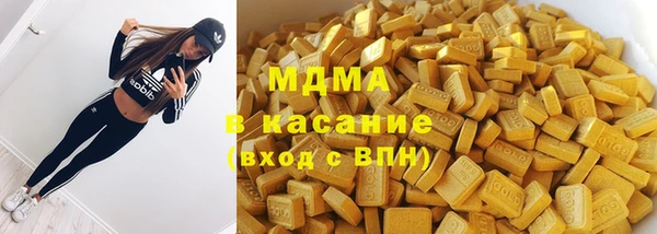 индика Беломорск