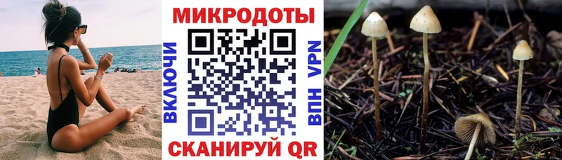где продают наркотики  Старица  Псилоцибиновые грибы Psilocybe 